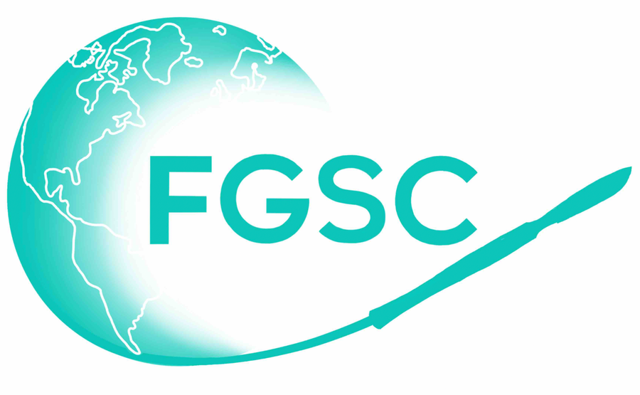 Foundation for Global Surgical Care logo